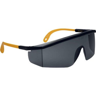 Delta Plus KILIMANDJARO SMOKE Siyah Iş Gözlüğü